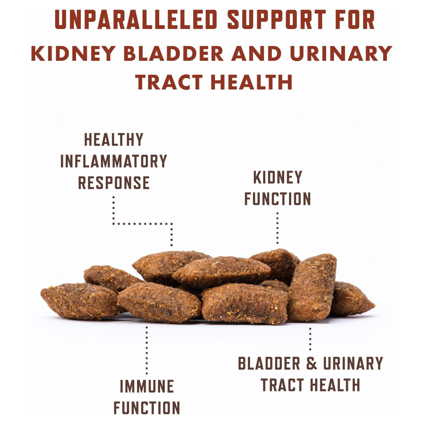 Support Your Cat's Bladder Health With Kittyform™ Cranberry