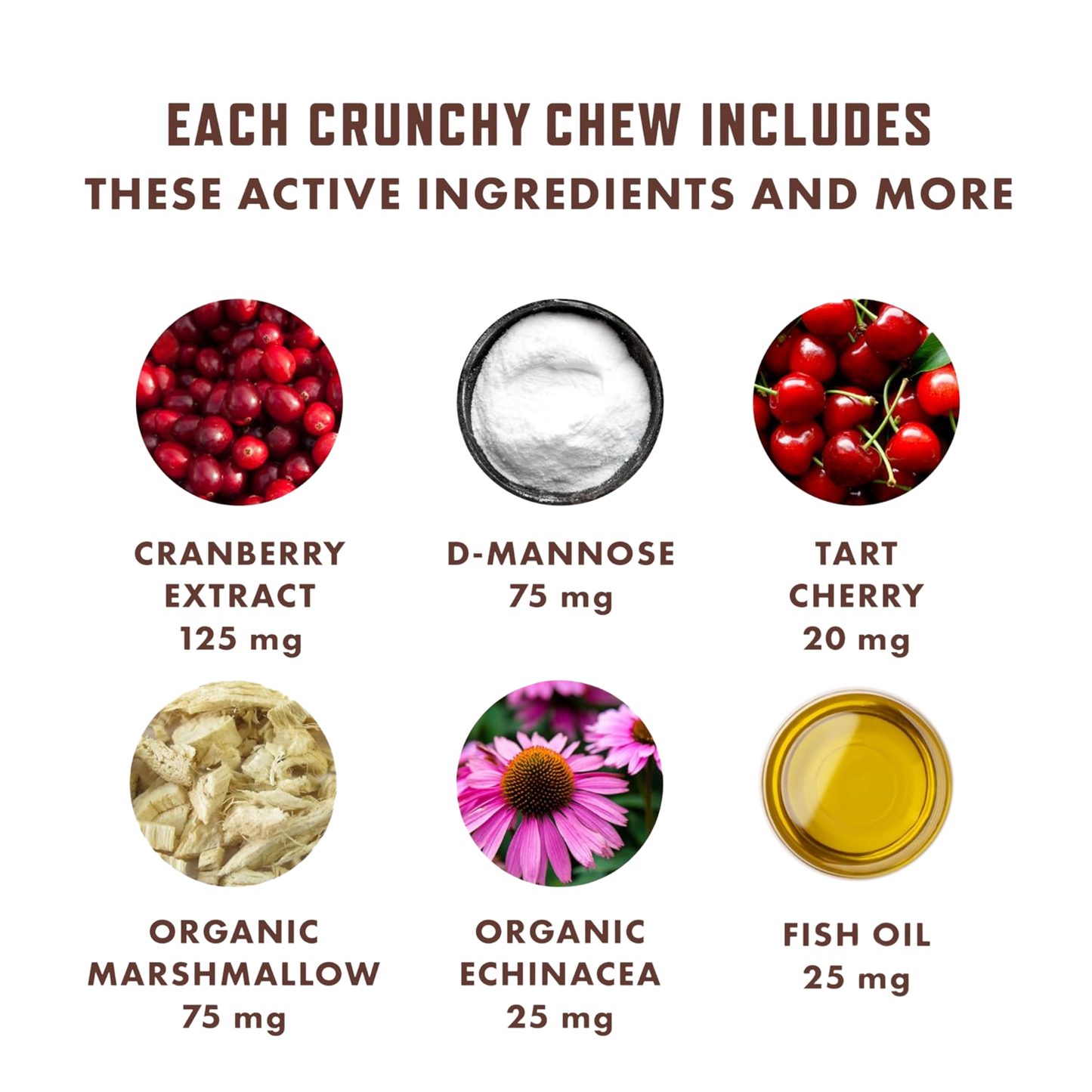 Support Your Cat's Bladder Health With Kittyform™ Cranberry