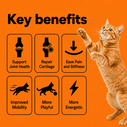 KittyForm™ Hip & Joint Chews